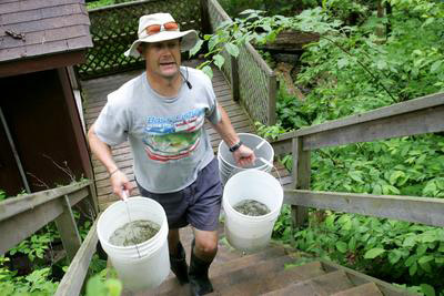 Buckets of Fry